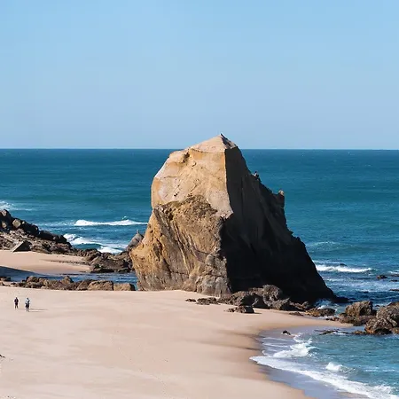 Shore - Santa Cruz